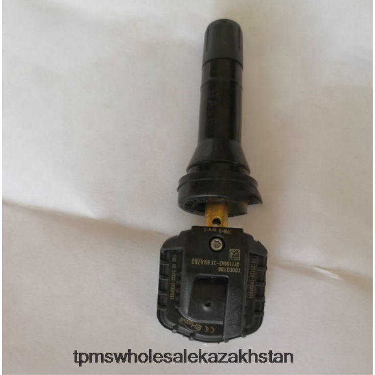 Датчик давления в шинах tpms Rongwei 10718213 - TPMS Sensor Kazakhstan Z460VZ1257